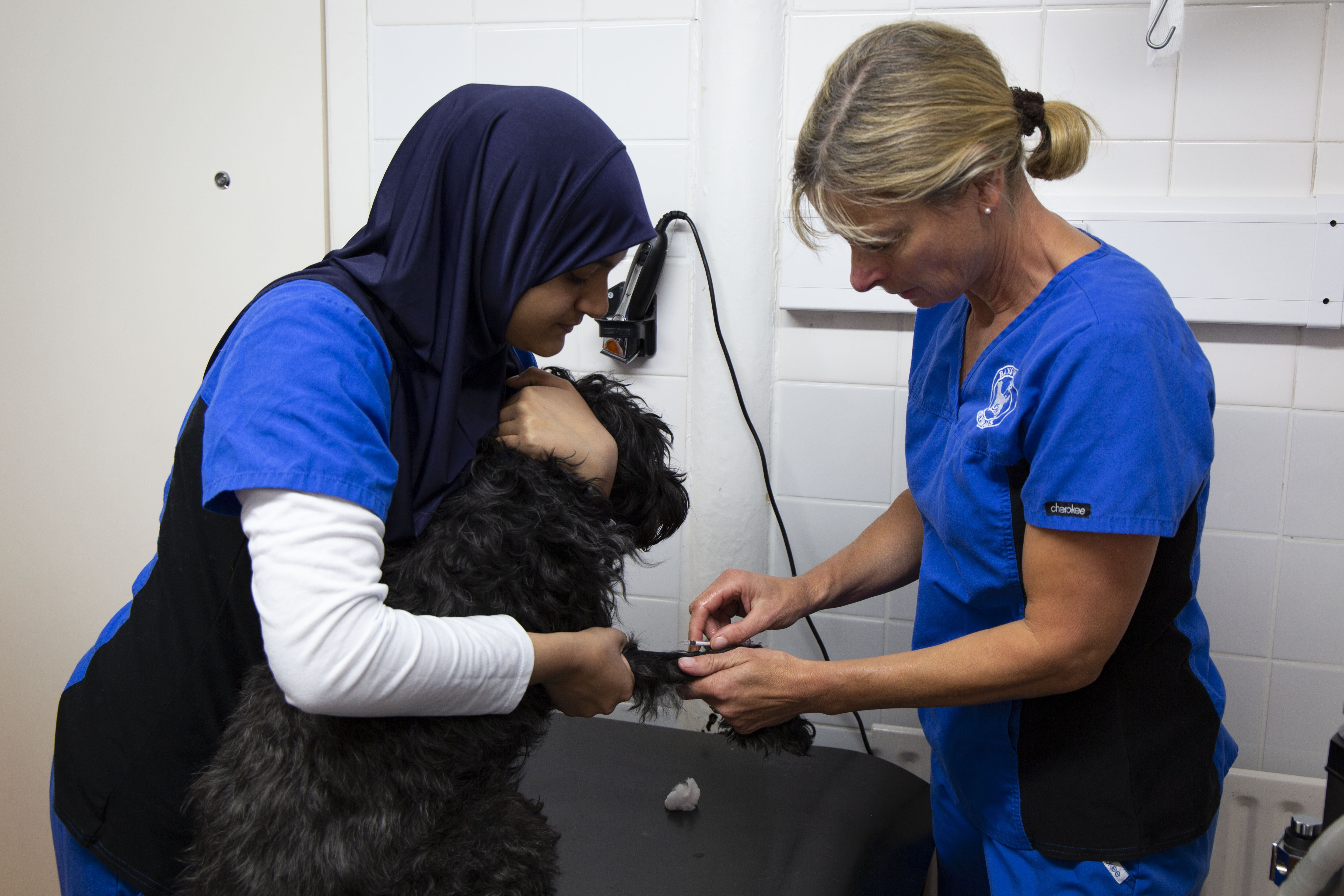 Pet consultations that don’t rush you