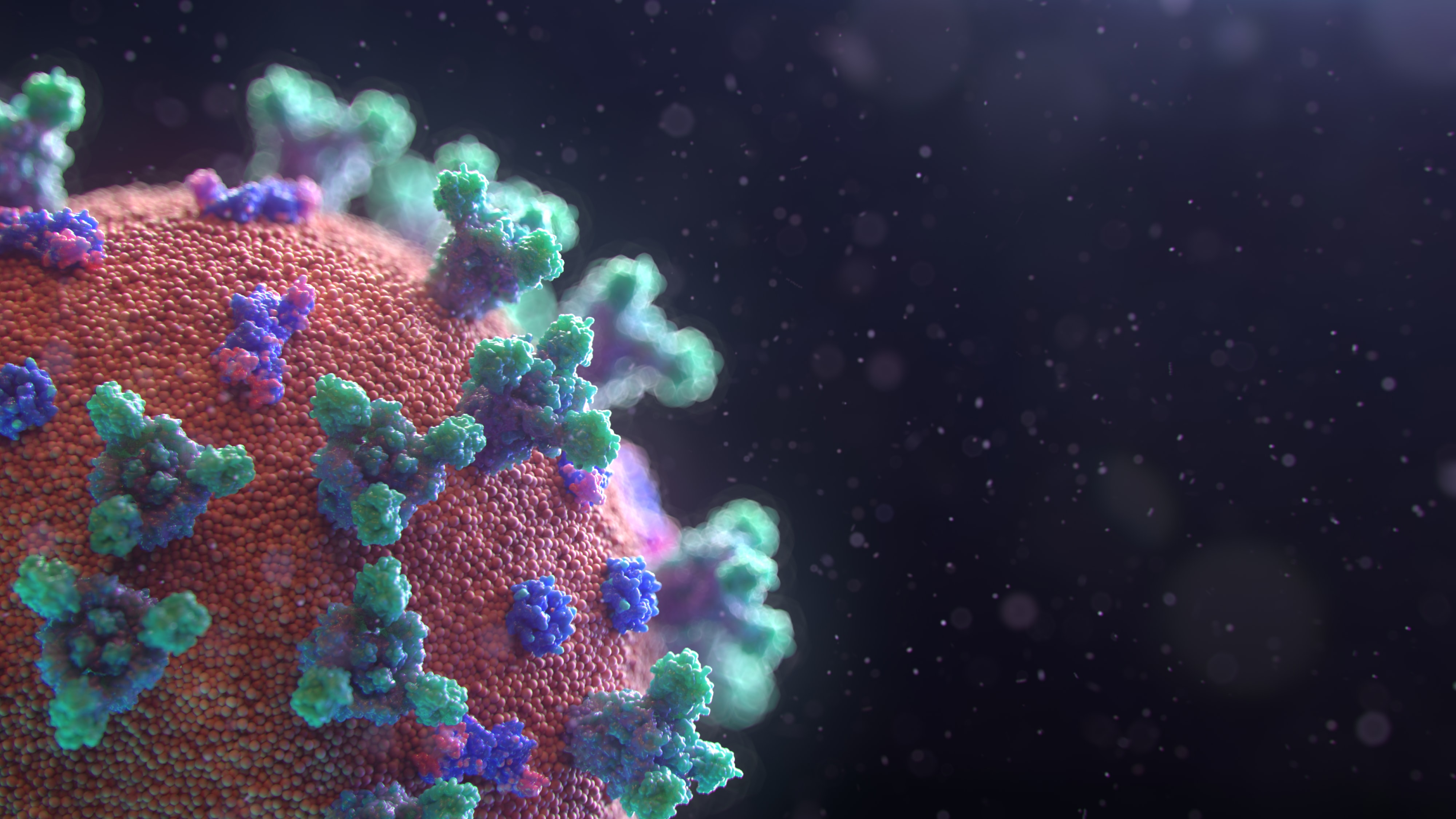 Coronavirus home confinement advice for pet owners