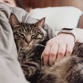 Mental health benefits of having a pet when you’re isolated Mental health benefits of having a pet when you’re isolated