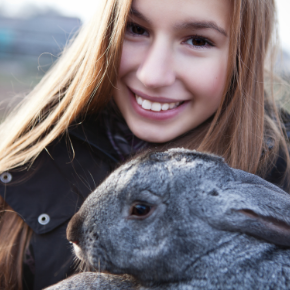 What to put in your rabbit’s first aid kit What to put in your rabbit’s first aid kit