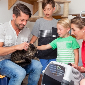Valuable advice for cat adoption in 2024 from Bayswater Vets Valuable advice for cat adoption in 2024 from Bayswater Vets
