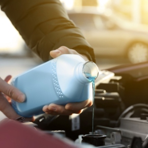 Antifreeze pet poisoning risks in London Antifreeze pet poisoning risks in London