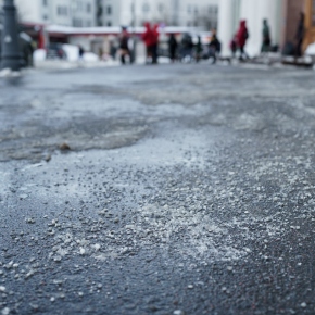 Winter paw care: protect dogs in from road salt Winter paw care: protect dogs in from road salt